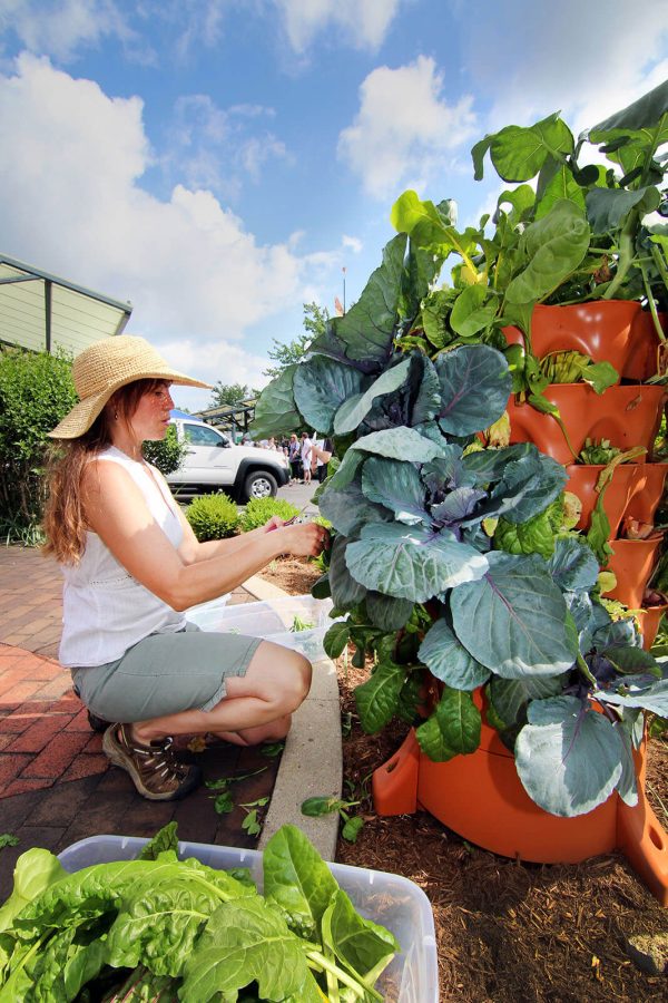Garden Tower 2™, 50-Plant Composting Vertical Garden Planter Online Sale - Image 3